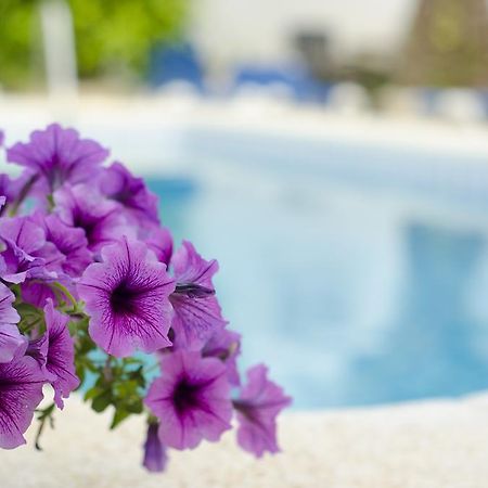 Апартаменти La Crisalida Retreats El Albir Екстер'єр фото